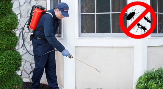 Oğuzlar Bit İlaçlama böcek ilaçlama ve haşere kontrolü — ilaclama-tr.com